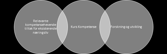 HANDLINGSPLAN OMSTILLING INDRE FOSEN KOMMUNE 2017 3. Innsatsområder for omstillingsarbeidet 3.