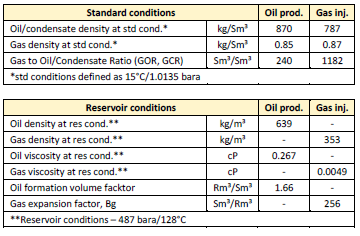 Figure 2: Illustration of typical Dagny gas injector/ producer, ref /3/.