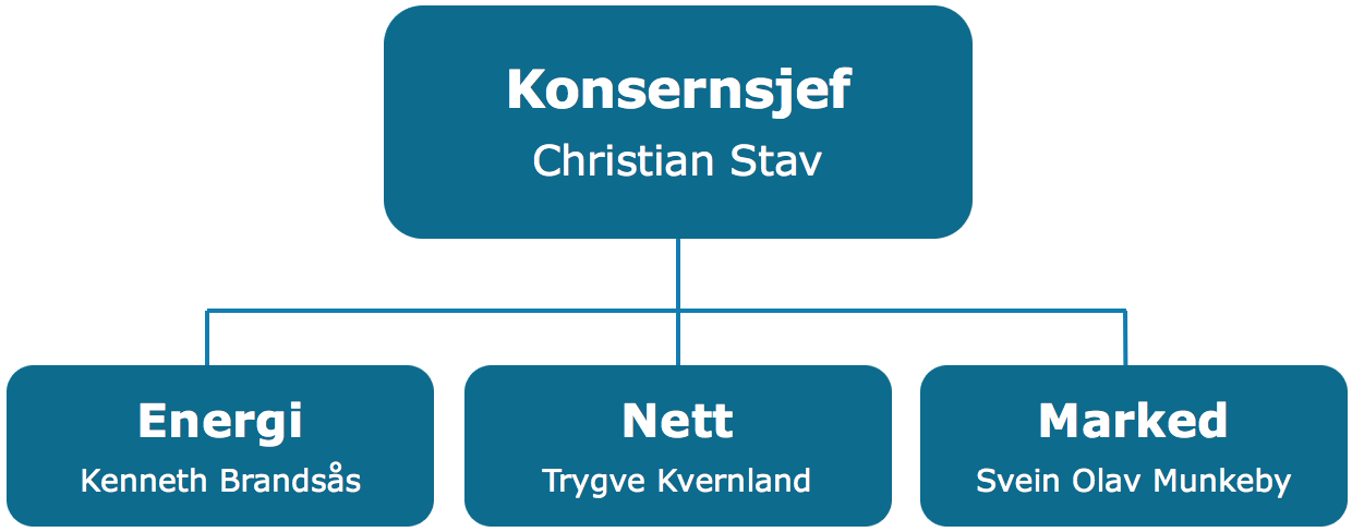 Kort om NTE NTE er et trøndersk konsern innen produksjon og salg av energi- og fiberbaserte kommunikasjonstjenester, bygging og drift av infrastruktur for strøm og kommunikasjon og