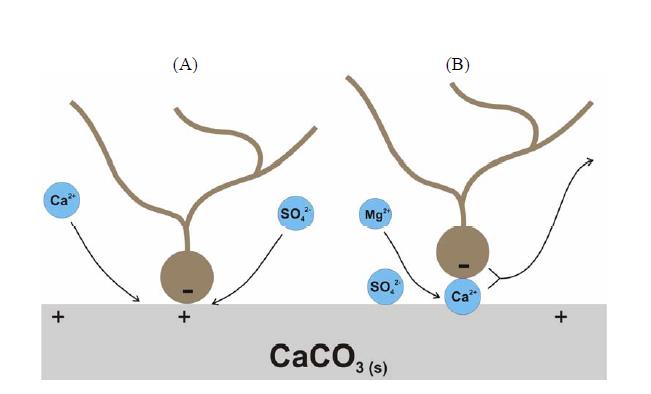 Kapittel 2 Teori høy konsentrasjon av Ca 2+ ved overflaten. Karboksylsyre (olje) vil slippe og binde seg med Ca 2+ som er ved overflaten, og gå inn i oljefase.