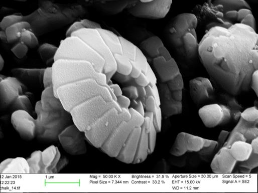 Bildene har vist at kritt inneholder organiske materialer, hovedsakelig av planktoniske kalkplater (kokkolitter) fra en type planktonisk alge som er vist i figur 4.1. Figur 4.