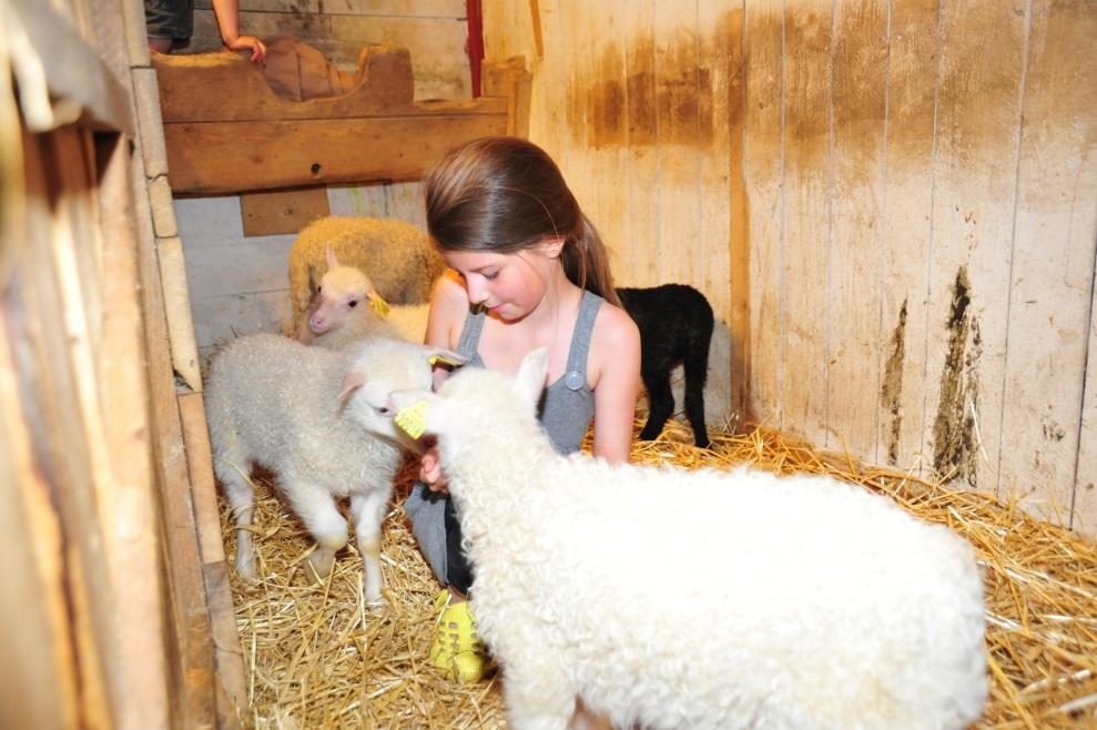 Inn på tunet barn og familie Gårdshelger for barn