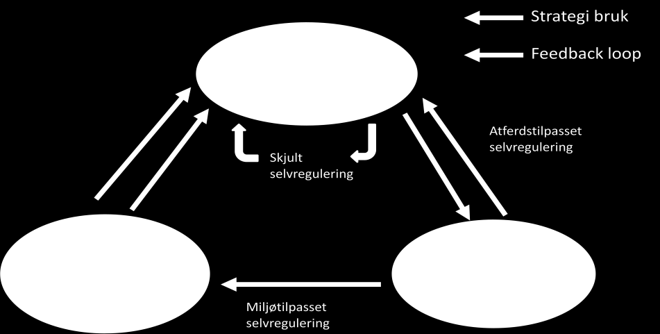 4.3 Selvregulert læring som en triadisk prosess.