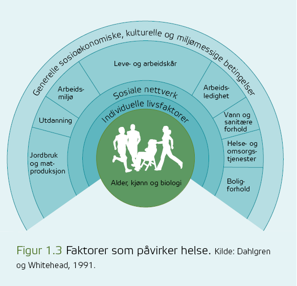 Formålet med folkehelseloven Bidra til en samfunnsutvikling som fremmer folkehelse og utjevner sosiale helseforskjeller Sikre at folkehelse