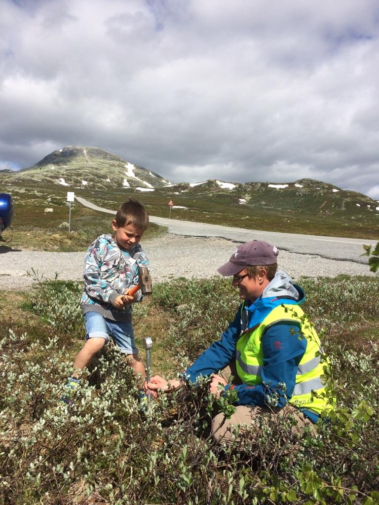 Vinsjehytta Neste steg Hjemmelshaver