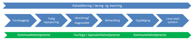 Hovedfaser i pasientforløpet: (a) forebygging og tidlig oppsporing (b) utredning/diagnostikk (c) behandling