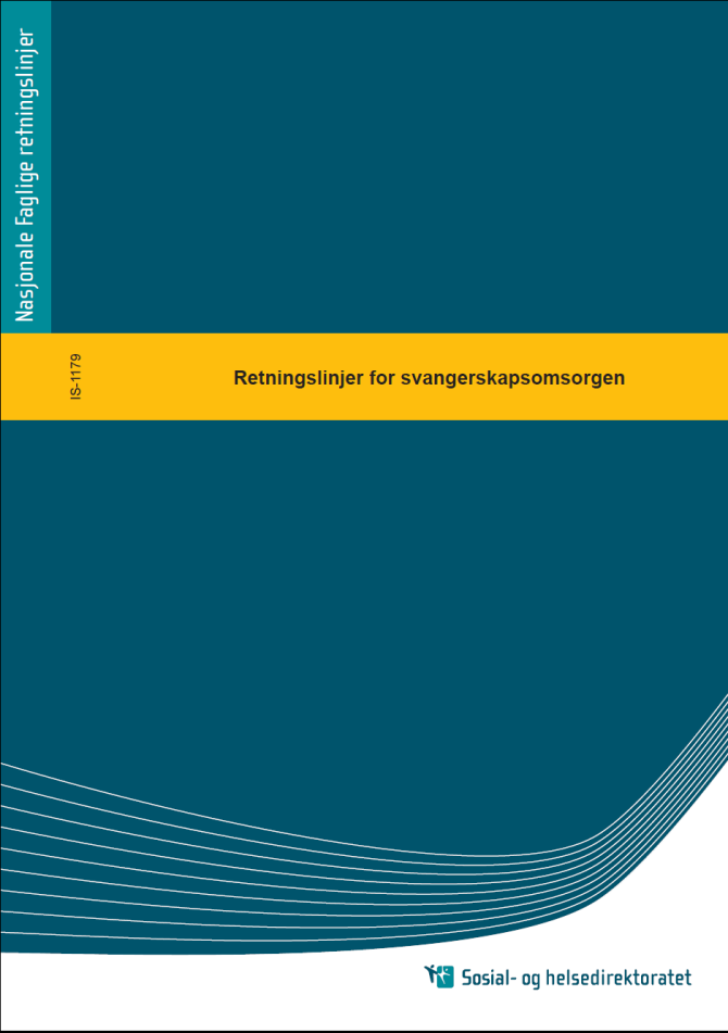 Retningslinjer for svangerskapsomsorgen 2005 Informasjon som fremmer amming bør gis i svangerskapet Tilfredshet med svangerskapsomsorgen i Norge. Rapport fra en bruker us.