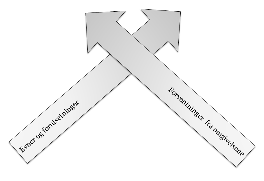 Barn som utfordrer oss Hvordan forklarer vi det? 1. Manglende evner/forutsetninger hos barnet 2.