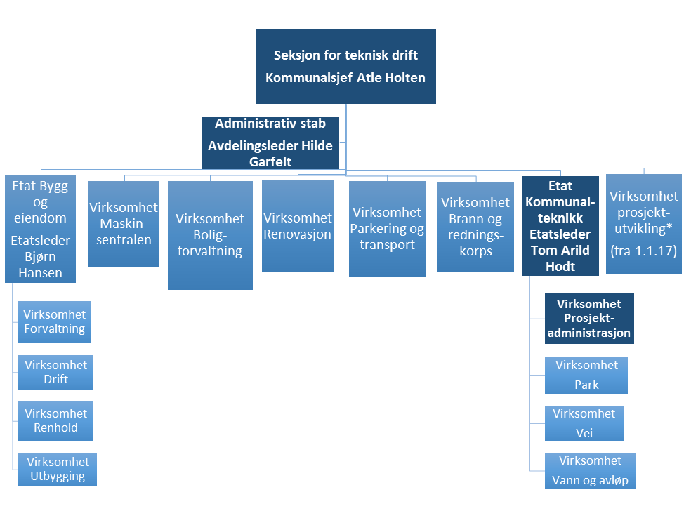 Figur 1: Organisasjonskart * Organisasjonen er i endring.