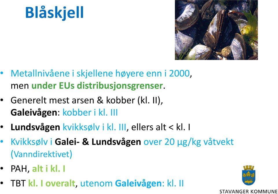 III Lundsvågen kvikksølv i kl. III, ellers alt < kl.