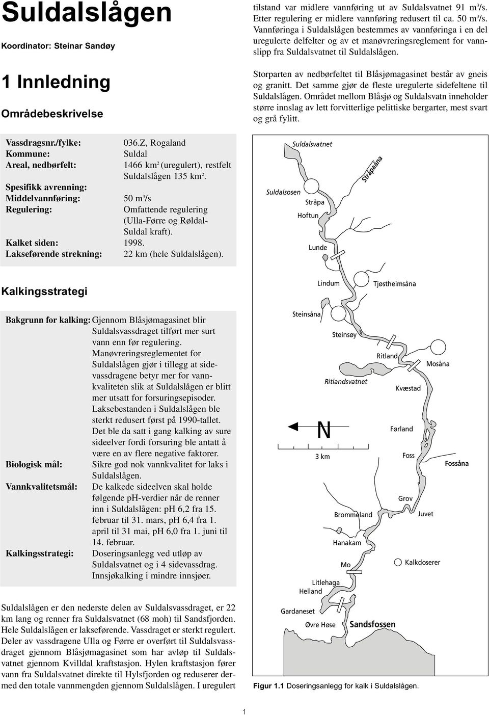 Storparten av nedbørfeltet til Blåsjømagasinet består av gneis og granitt. Det samme gjør de fleste uregulerte sidefeltene til Suldalslågen.