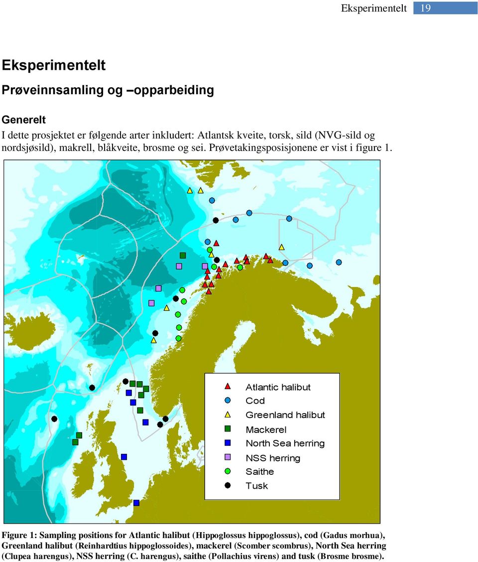 Atlantic halibut Cod Greenland halibut Mackerel North Sea herring NSS herring Saithe Tusk Figure 1: Sampling positions for Atlantic halibut (Hippoglossus