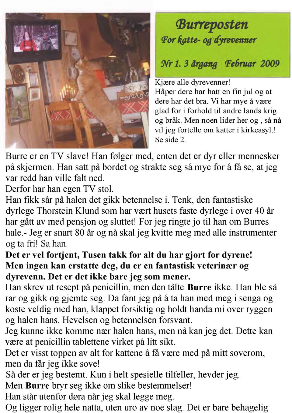 Han satt på bordet og strakte seg så mye for å få se, at jeg var redd han ville falt ned. Derfor har han egen TV stol. Han fikk sår på halen det gikk betennelse i.