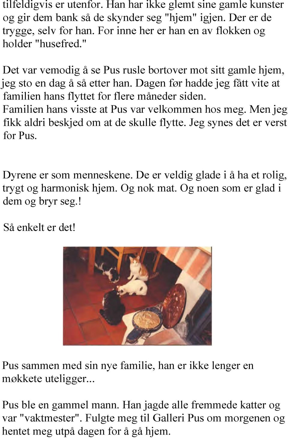 Familien hans visste at Pus var velkommen hos meg. Men jeg fikk aldri beskjed om at de skulle flytte. Jeg synes det er verst for Pus. Dyrene er som menneskene.