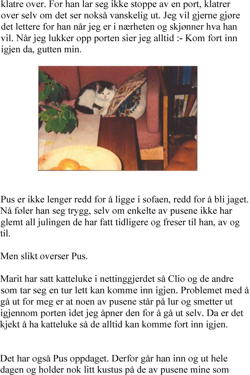 Nå føler han seg trygg, selv om enkelte av pusene ikke har glemt all julingen de har fatt tidligere og freser til han, av og til. Men slikt overser Pus.