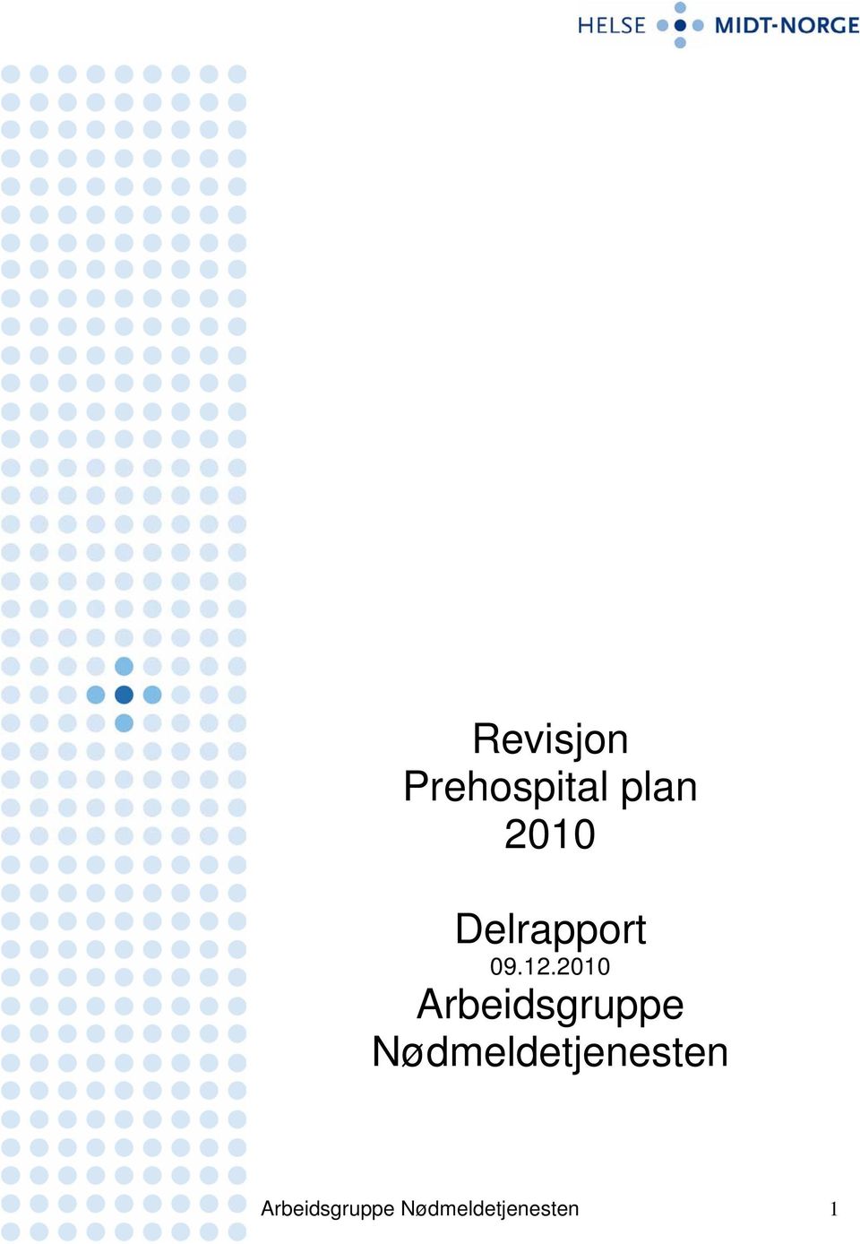 2010 Arbeidsgruppe