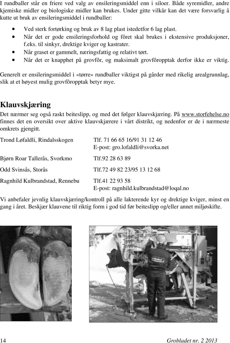 Når det er gode ensileringsforhold og fôret skal brukes i ekstensive produksjoner, f.eks. til sinkyr, drektige kviger og kastrater. Når graset er gammelt, næringsfattig og relativt tørt.