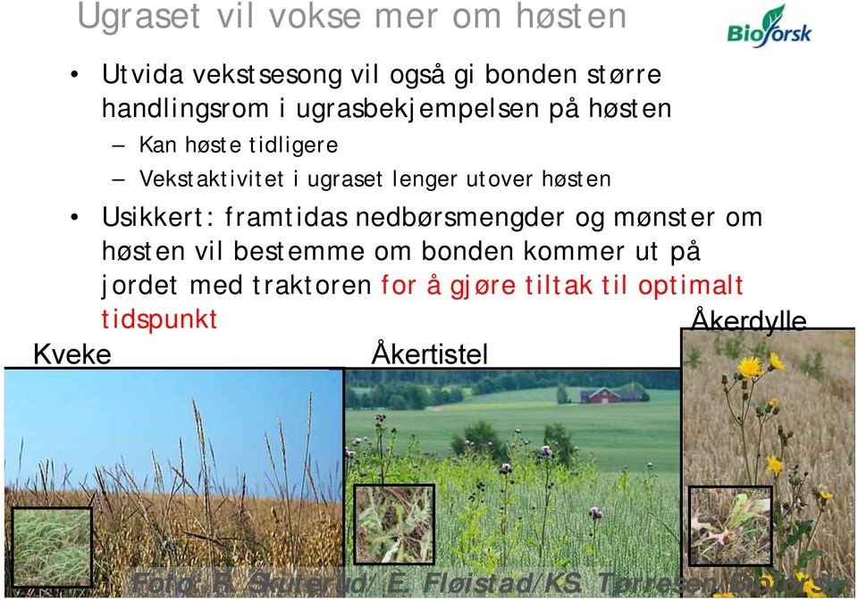 framtidas nedbørsmengder og mønster om høsten vil bestemme om bonden kommer ut på jordet med traktoren