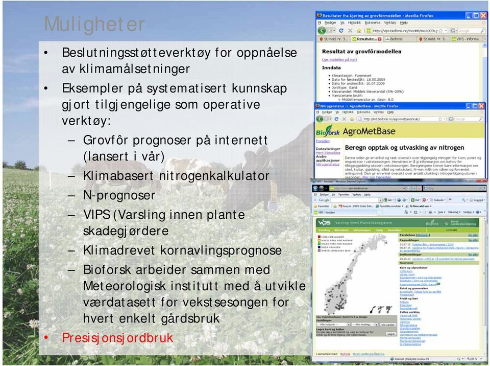 nitrogenkalkulator N-prognoser VIPS (Varsling innen plante skadegjørdere Klimadrevet kornavlingsprognose Bioforsk