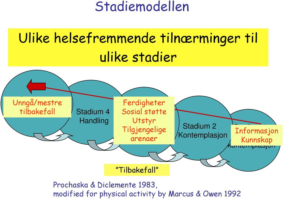 Ferdigheter Sosial støtte Stadium Utstyr 3 Tilgjengelige Forberedelse arenaer Stadium 2 Stadium Informasjon 1