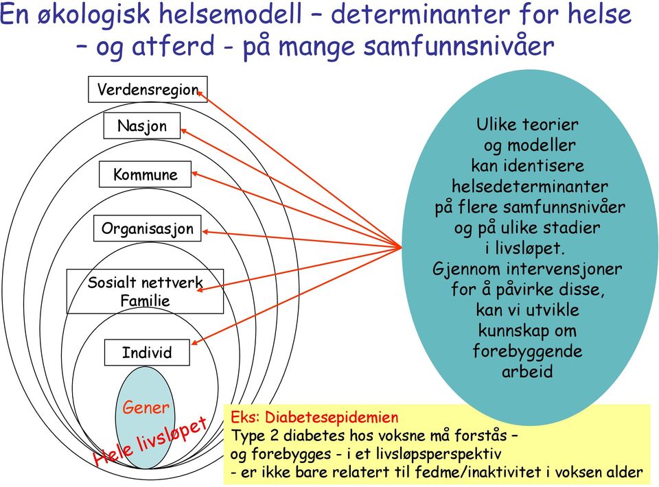 livsløpet.