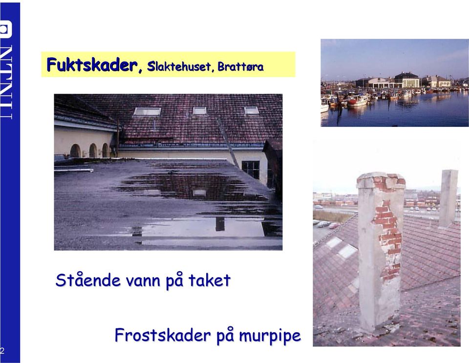 Brattøra Stående