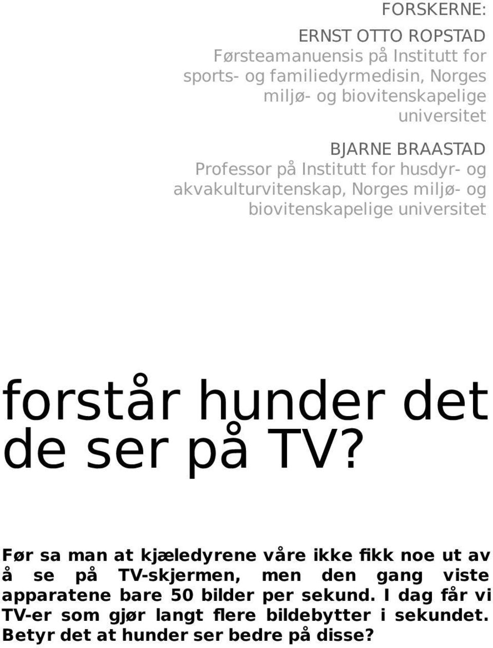 universitet forstår hunder det de ser på TV?