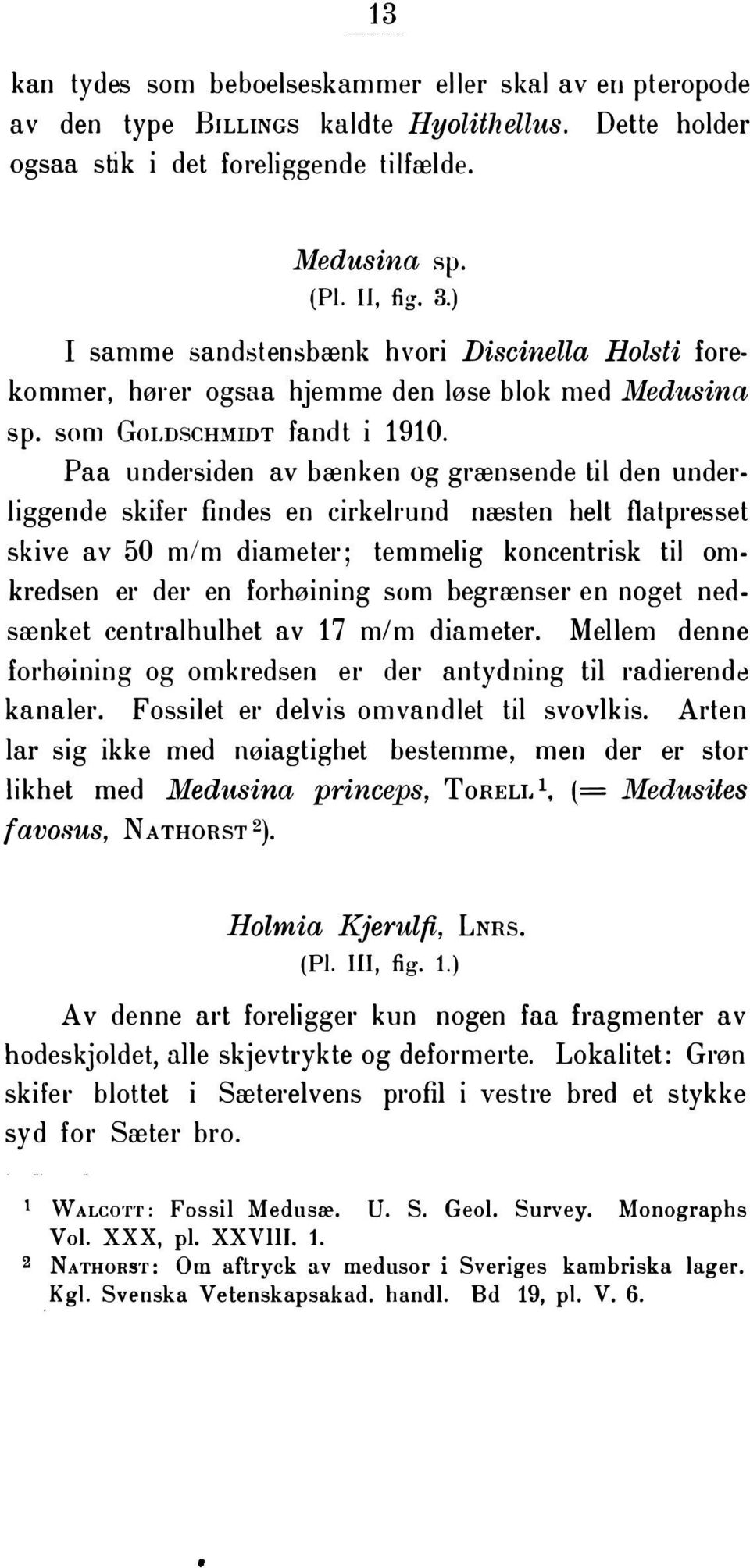 Paa undersiden av bænken og grænsende til den underliggende skifer findes en cirkelrund næsten helt flatpresset skive av 50 m/m diameter; temmelig koncentrisk til omkredsen er der en forhøining som