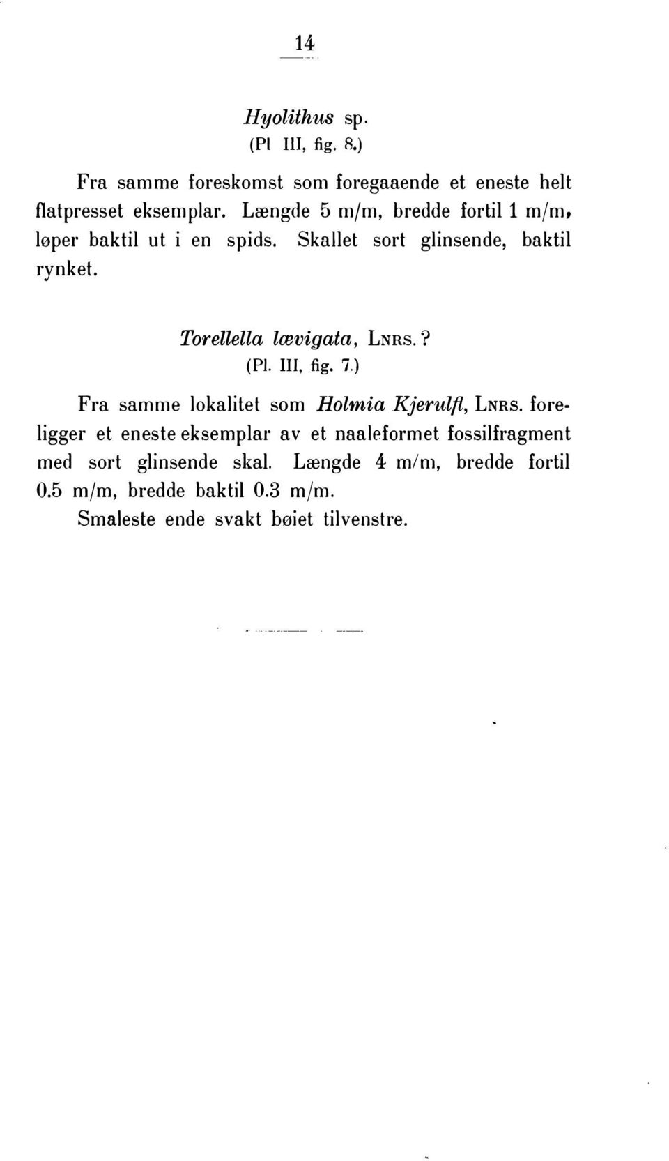 Torellella lævigata, LNRS.? (Pl. Ill, fig. 7.) Fra samme lokalitet som Holmia Kjerulfl, LNRS.