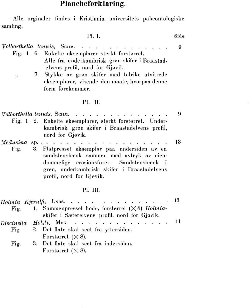 .... 9 Fig. 1 2. Enkelte eksemplarer, sterkt forstørret. Underkam brisk grøn skifer i Braastadelvens profil, nord for Gjøvik. sp. 13 Fig. 3.