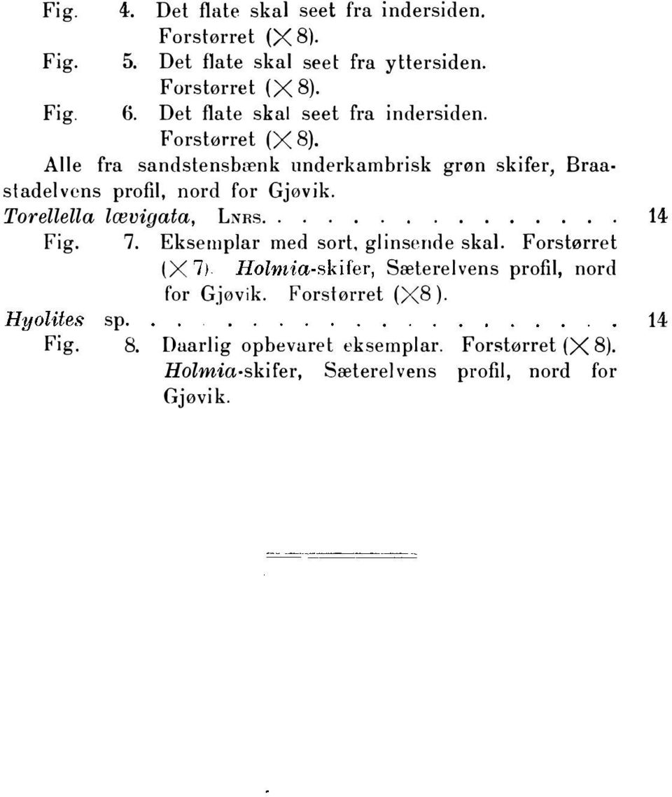 vens profil, nord for Gjøvik. Torellella lævigata, LNns.............. 14 Fig. 7. Eksemplar med sort, glinspn<le skal.