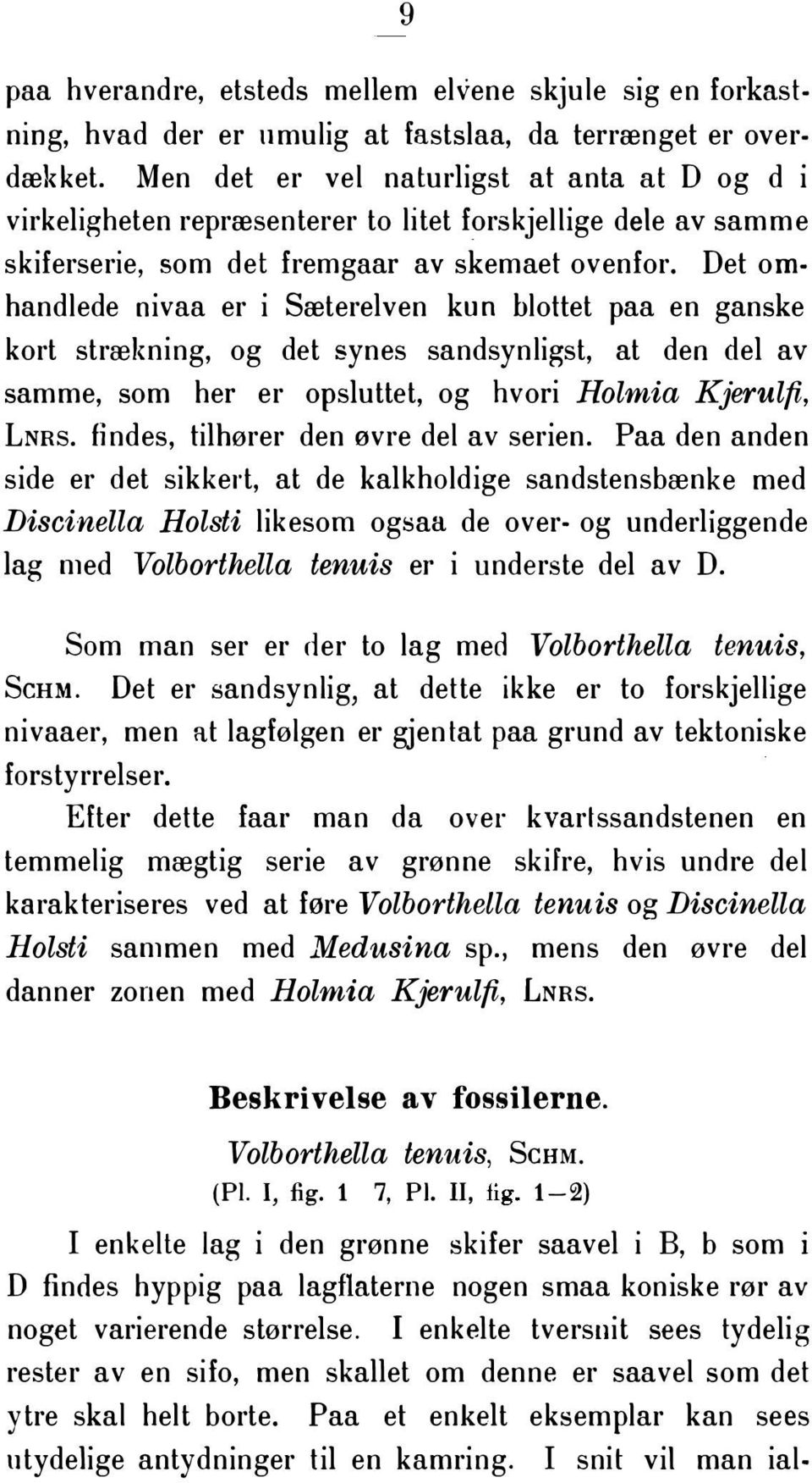 Det omhandlede nivaa er i Sæterelven kun blottet paa en ganske kort strælming, og det synes sandsynligst, at den del av samme, som her er opsluttet, og hvori Holmia Kjerulfi, LNRS.