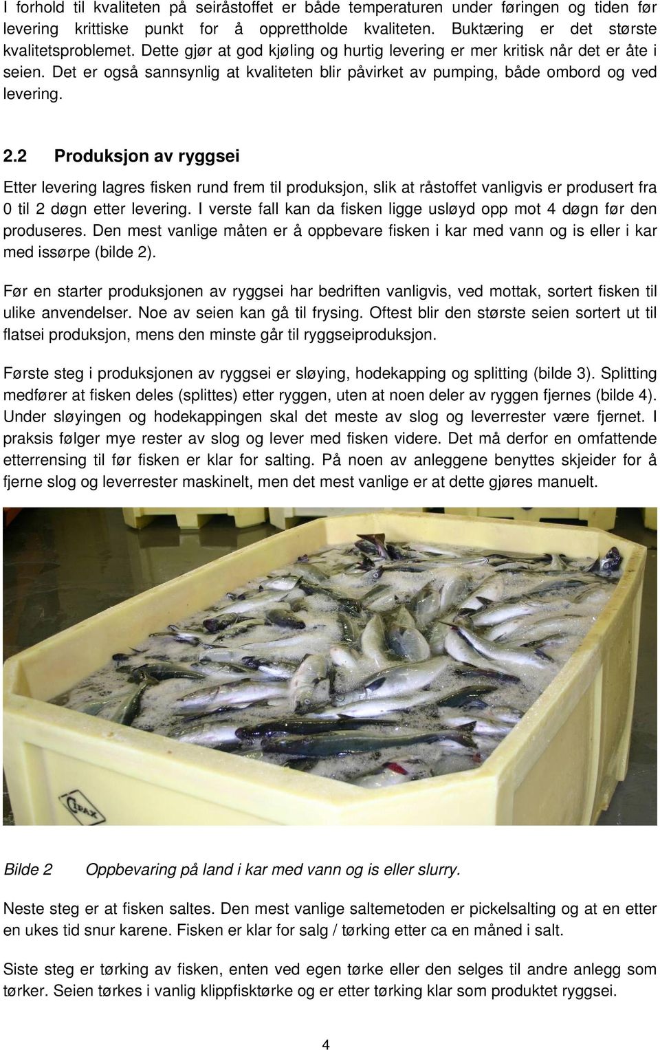 2 Produksjon av ryggsei Etter levering lagres fisken rund frem til produksjon, slik at råstoffet vanligvis er produsert fra 0 til 2 døgn etter levering.