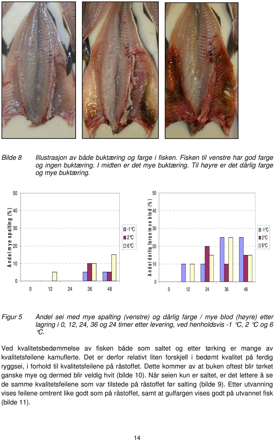 dårlig farge / mye blod (høyre) etter lagring i 0, 12, 24, 36 og 24 timer etter levering, ved henholdsvis -1 C, 2 C og 6 C.