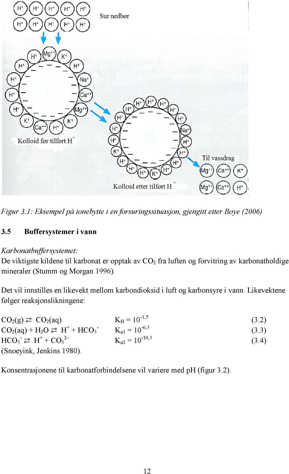 (Stumm og Morgan 1996). Det vil innstilles en likevekt mellom karbondioksid i luft og karbonsyre i vann.