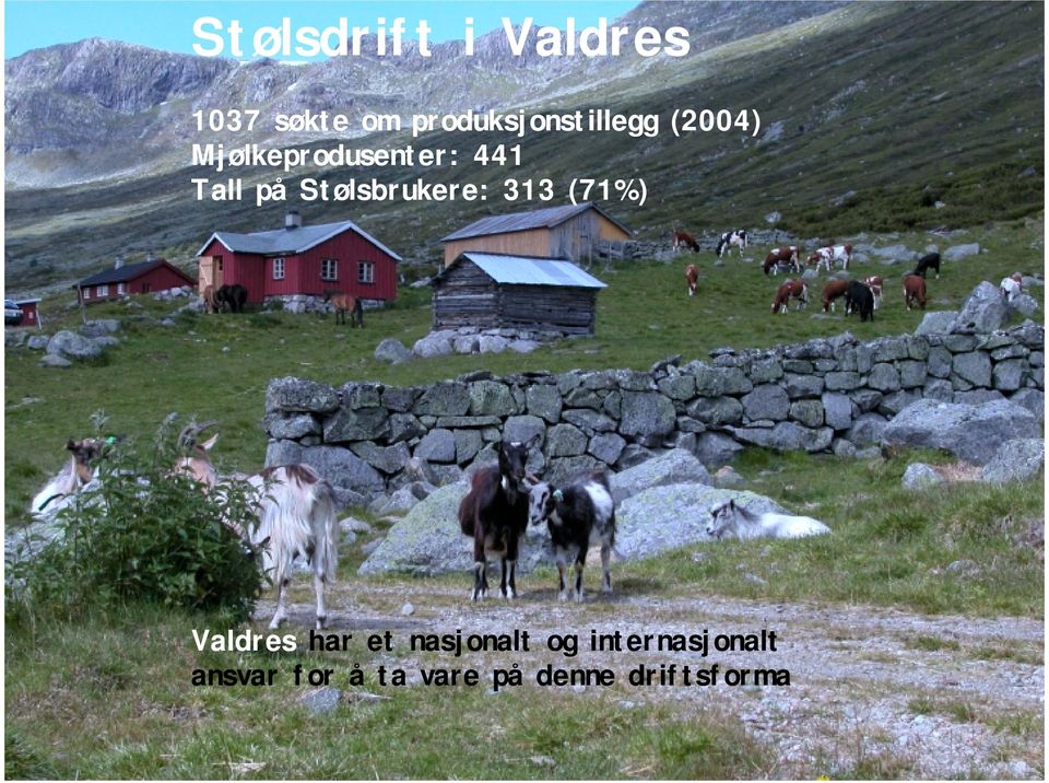 Tall på Stølsbrukere: 313 (71%) Valdres har et