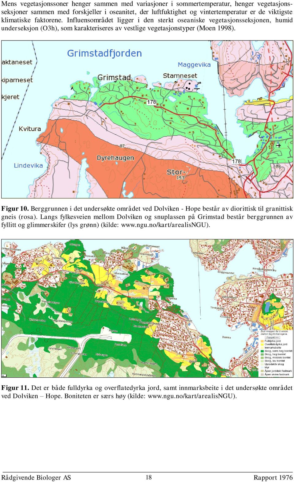 Berggrunnen i det undersøkte området ved Dolviken - Hope består av diorittisk til granittisk gneis (rosa).