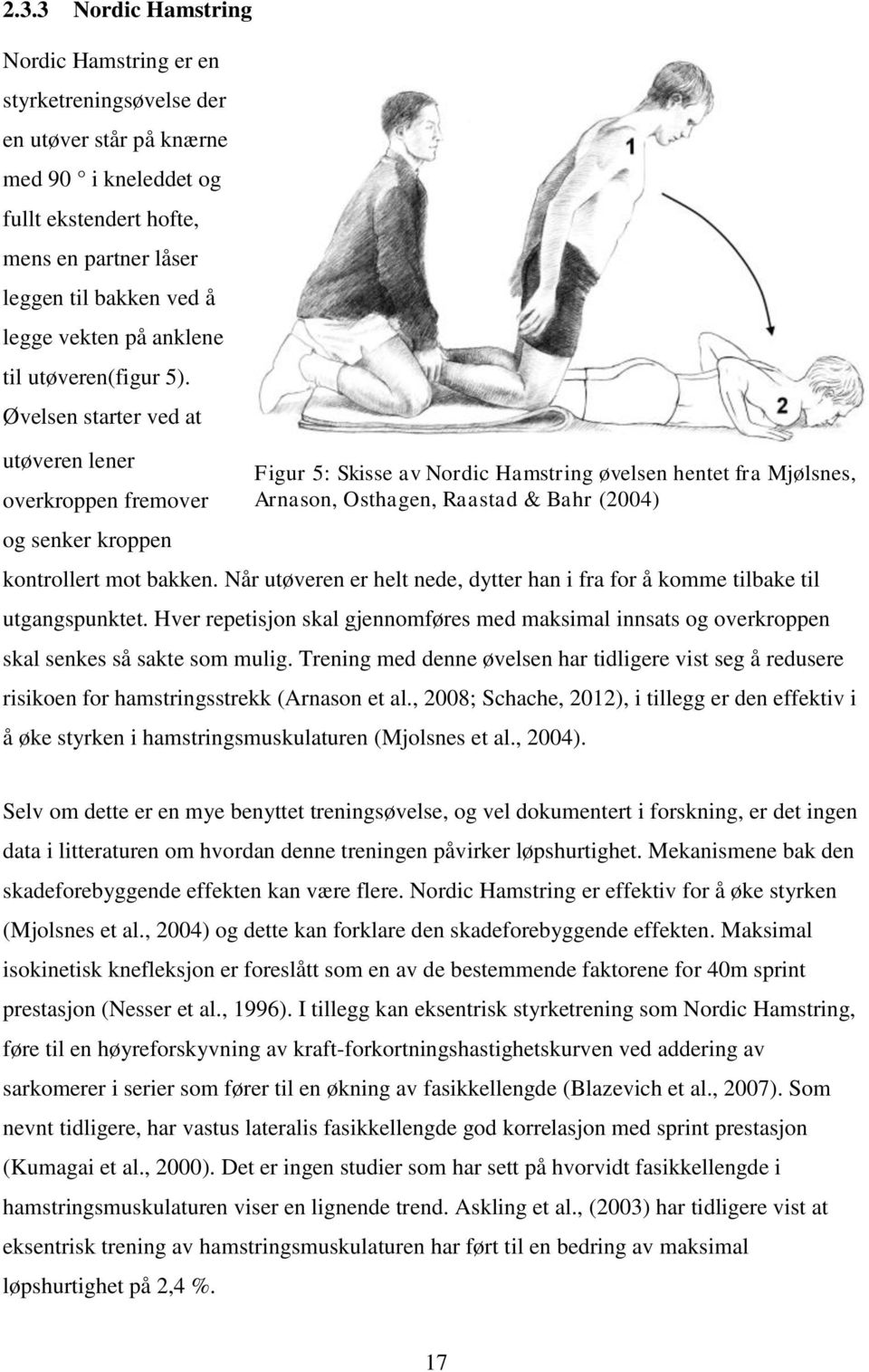 Øvelsen starter ved at utøveren lener overkroppen fremover og senker kroppen Figur 5: Skisse av Nordic Hamstring øvelsen hentet fra Mjølsnes, Arnason, Osthagen, Raastad & Bahr (2004) kontrollert mot