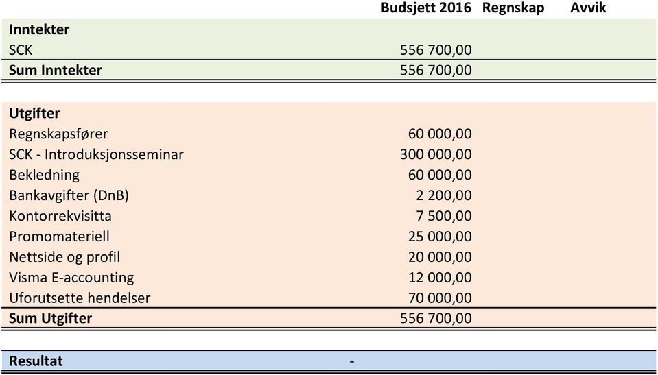 Bankavgifter (DnB) 2 200,00 Kontorrekvisitta 7 500,00 Promomateriell 25 000,00 Nettside og