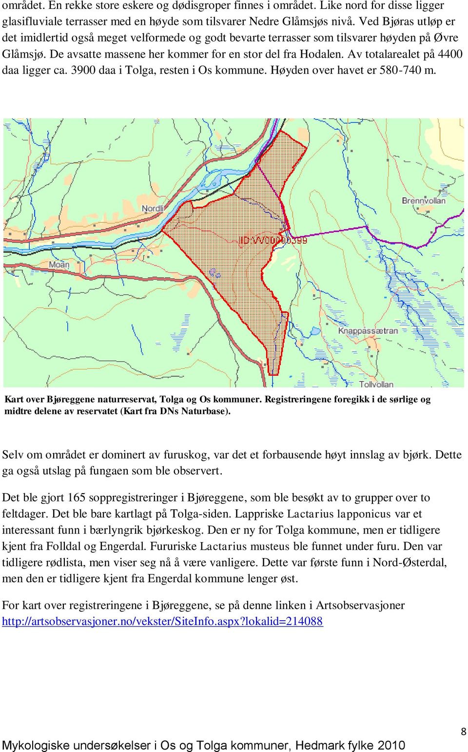 Av totalarealet på 4400 daa ligger ca. 3900 daa i Tolga, resten i Os kommune. Høyden over havet er 580-740 m. Kart over Bjøreggene naturreservat, Tolga og Os kommuner.