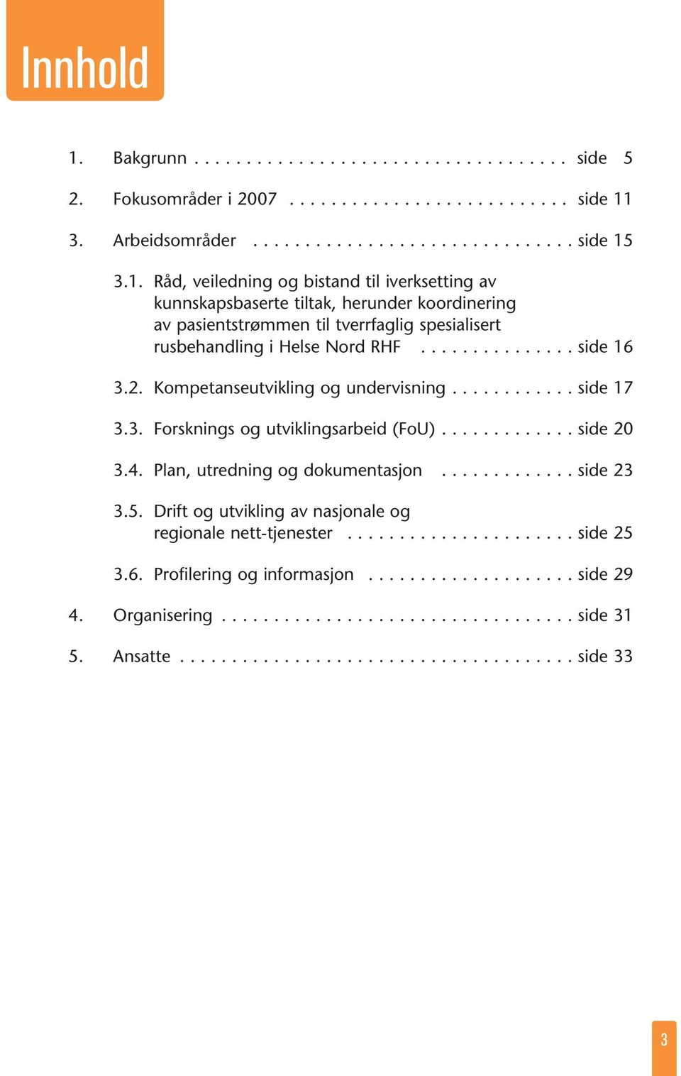 5. Drift og utvikling av nasjonale og regionale nett-tjenester...................... side 25 3.6. Profilering og informasjon.................... side 29 4. Organisering.................................. side 31 5.