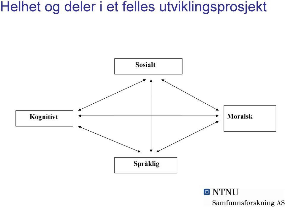 utviklingsprosjekt