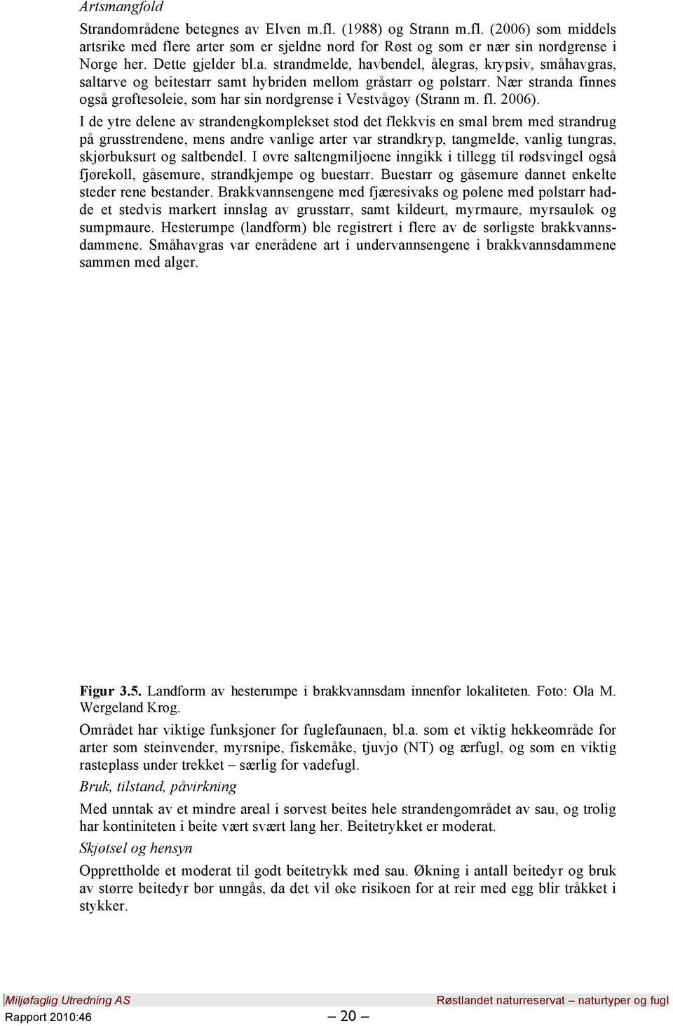 Nær stranda finnes også grøftesoleie, som har sin nordgrense i Vestvågøy (Strann m. fl. 2006).