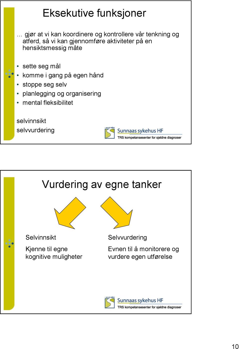 selv planlegging og organisering mental fleksibilitet selvinnsikt selvvurdering Vurdering av egne tanker