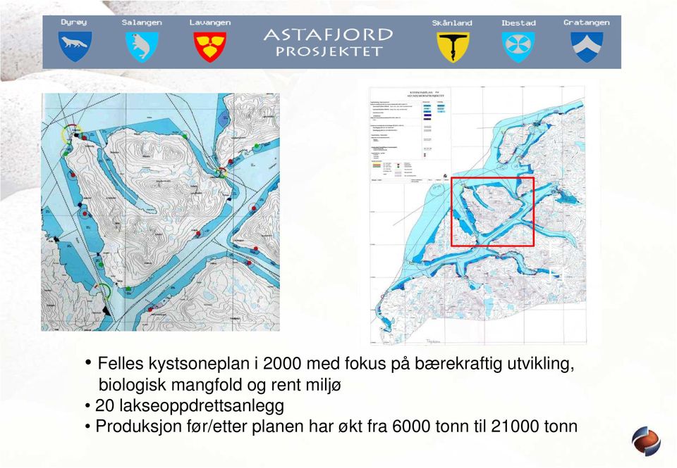 rent miljø 20 lakseoppdrettsanlegg Produksjon