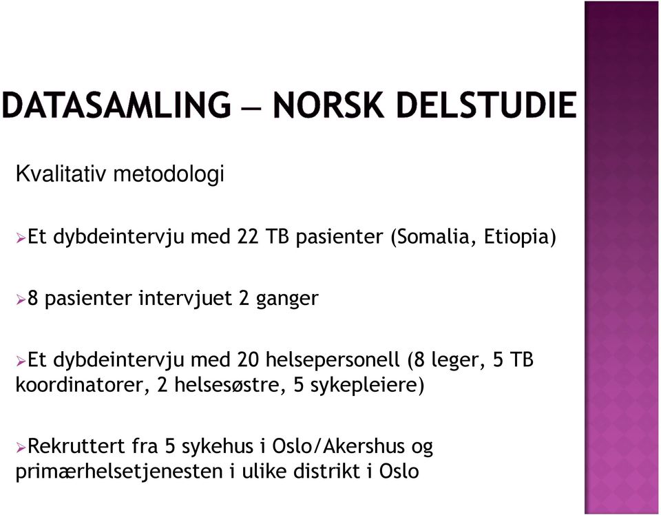 helsepersonell (8 leger, 5 TB koordinatorer, 2 helsesøstre, 5 sykepleiere)