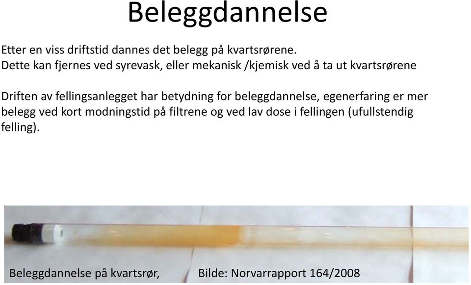 fellingsanlegget har betydning for beleggdannelse, egenerfaring er mer belegg ved kort