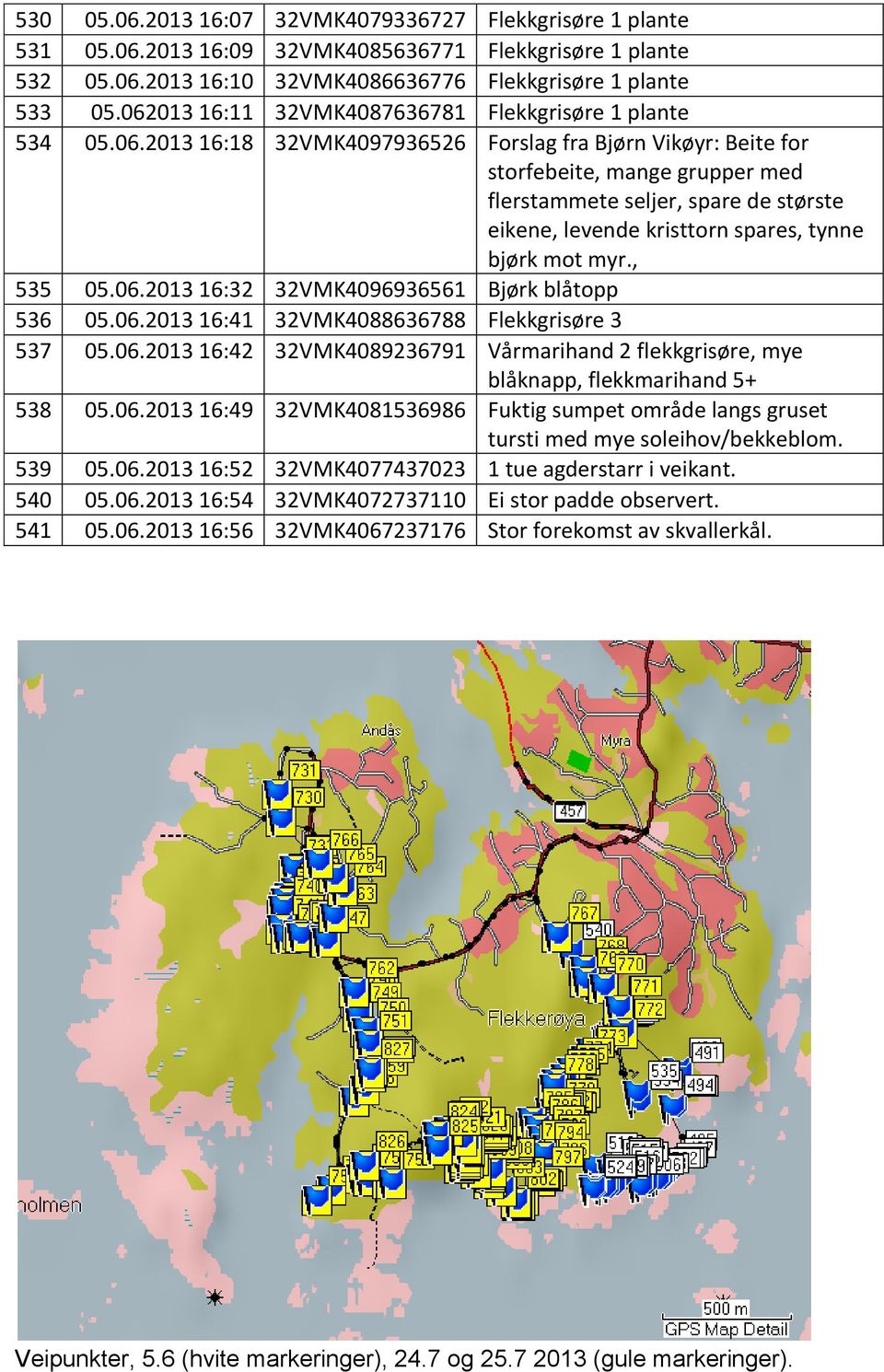 , 535 05.06.2013 16:32 32VMK4096936561 Bjørk blåtopp 536 05.06.2013 16:41 32VMK4088636788 Flekkgrisøre 3 537 05.06.2013 16:42 32VMK4089236791 Vårmarihand 2 flekkgrisøre, mye blåknapp, flekkmarihand 5+ 538 05.