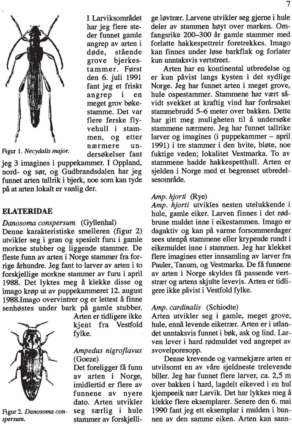 I Oppland, nord- og sprr, og Gudbrandsdalen har jeg funnet arten tallrik i bjerk, noe som kan tyde p4 at arten lokalt er vanlig der.