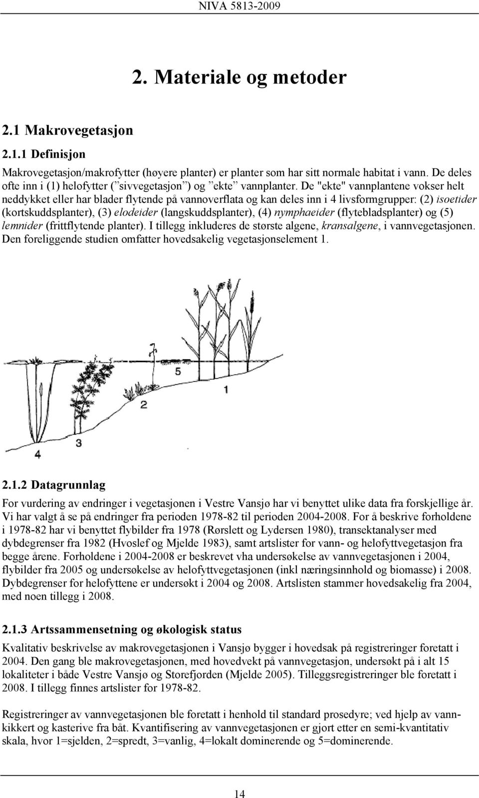 De "ekte" vannplantene vokser helt neddykket eller har blader flytende på vannoverflata og kan deles inn i 4 livsformgrupper: (2) isoetider (kortskuddsplanter), (3) elodeider (langskuddsplanter), (4)